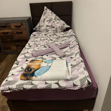 Appartement Zentral Dresde