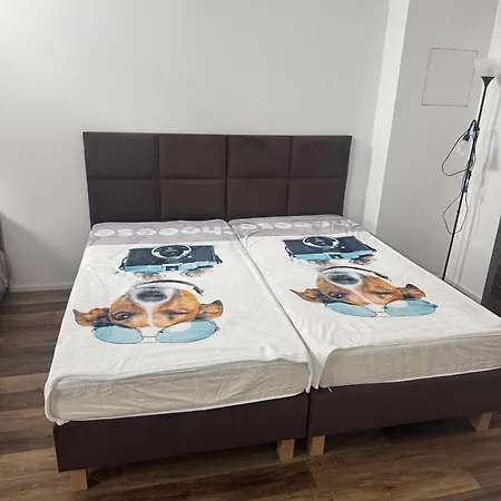 Zentral 德累斯顿